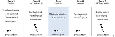 Brain fog in neuropathic postural tachycardia syndrome may be associated with autonomic hyperarousal and improves after water drinking